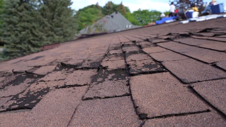 Best Emergency Roof Repair Services  in Lawson Heights, PA